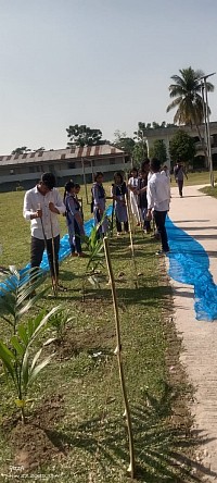 কাজী মন্টু কলেজের রোভার স্কাউটারদের মাধ্যমে বৃক্ষরোপণ কর্মসূচি.