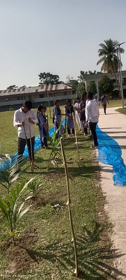 কাজী মন্টু কলেজের রোভার স্কাউটারদের মাধ্যমে বৃক্ষরোপণ কর্মসূচি.